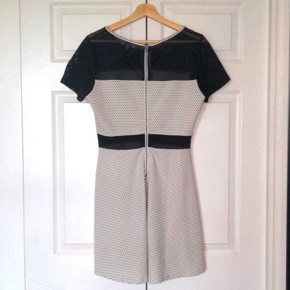 Black and White Mesh and Dotted A Line Dress - Picture 5 of 7